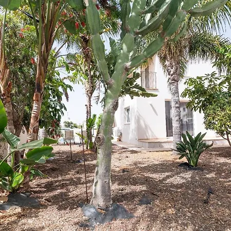 Villa Konnos Ekaterina Protaras